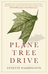 Plane Tree Drive cover
