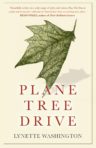 Plane Tree Drive